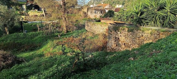 1 غرف نوم منزل في Torres Novas, Portugal رقم 20925 5