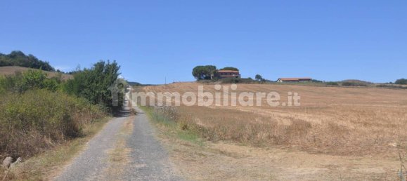 4 chambres Maison à Bibbona, Italy No. 80207 18