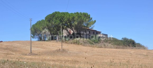 4 chambres Maison à Bibbona, Italy No. 80207 16