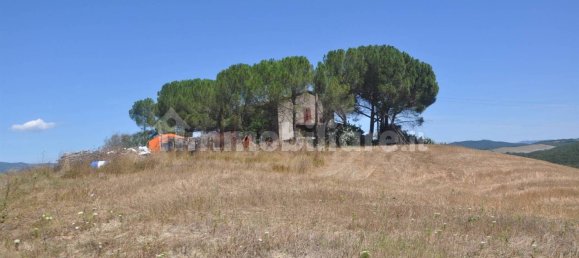 4 chambres Maison à Bibbona, Italy No. 80207 3