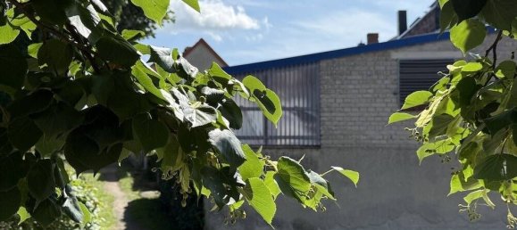 Дом с 4 комнатами в Wittenberg, Германия № 276457 11