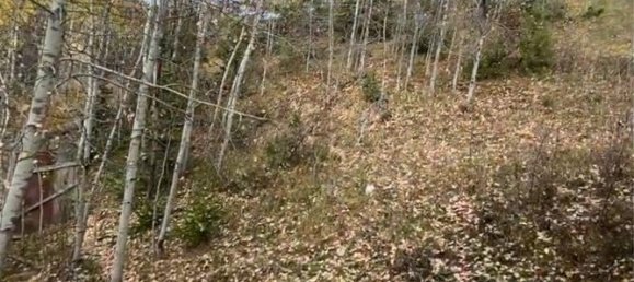 Terreno em Hanover, Germany N.º 218114 2