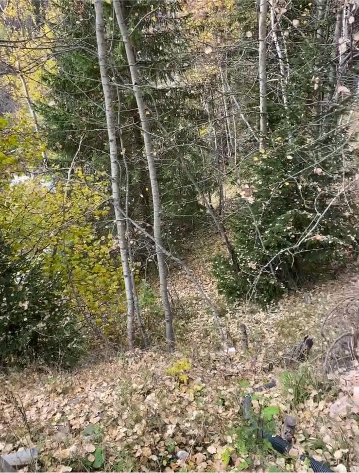 Terreno em Hanover, Germany N.º 218114