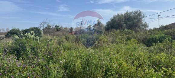 1-salle Terrain à San Giovanni la Punta, Italy No. 64056 16