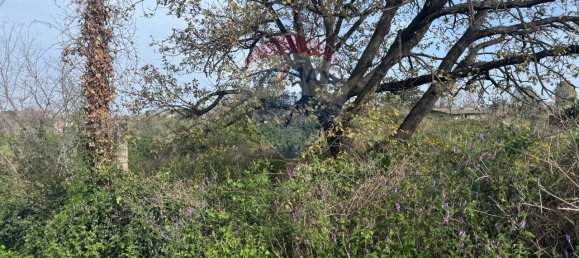 1-salle Terrain à San Giovanni la Punta, Italy No. 64056 5