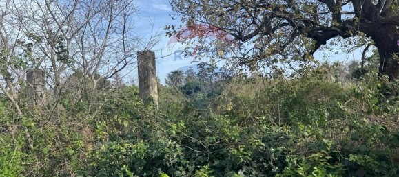 1-salle Terrain à San Giovanni la Punta, Italy No. 64056 4