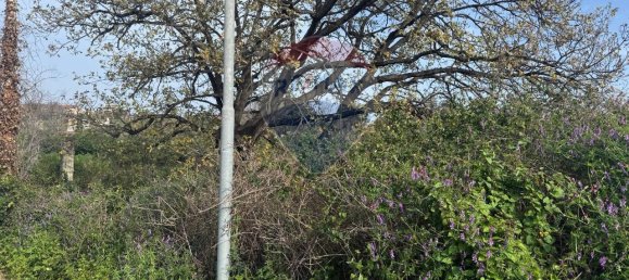 1-salle Terrain à San Giovanni la Punta, Italy No. 64056 7