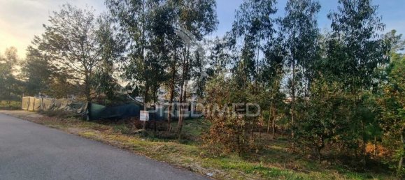 1134m² Land in Regadas, Portugal No. 41422 8