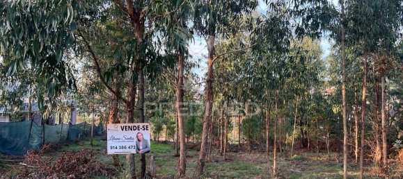 1134m² Land in Regadas, Portugal No. 41422 6