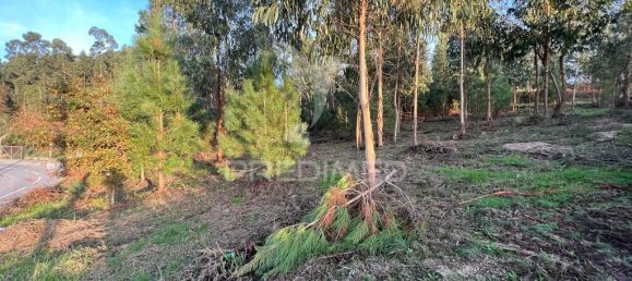 1134m² Land in Regadas, Portugal No. 41422 3