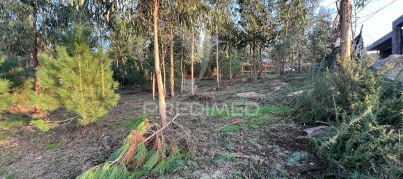 1134m² Land in Regadas, Portugal No. 41422 4