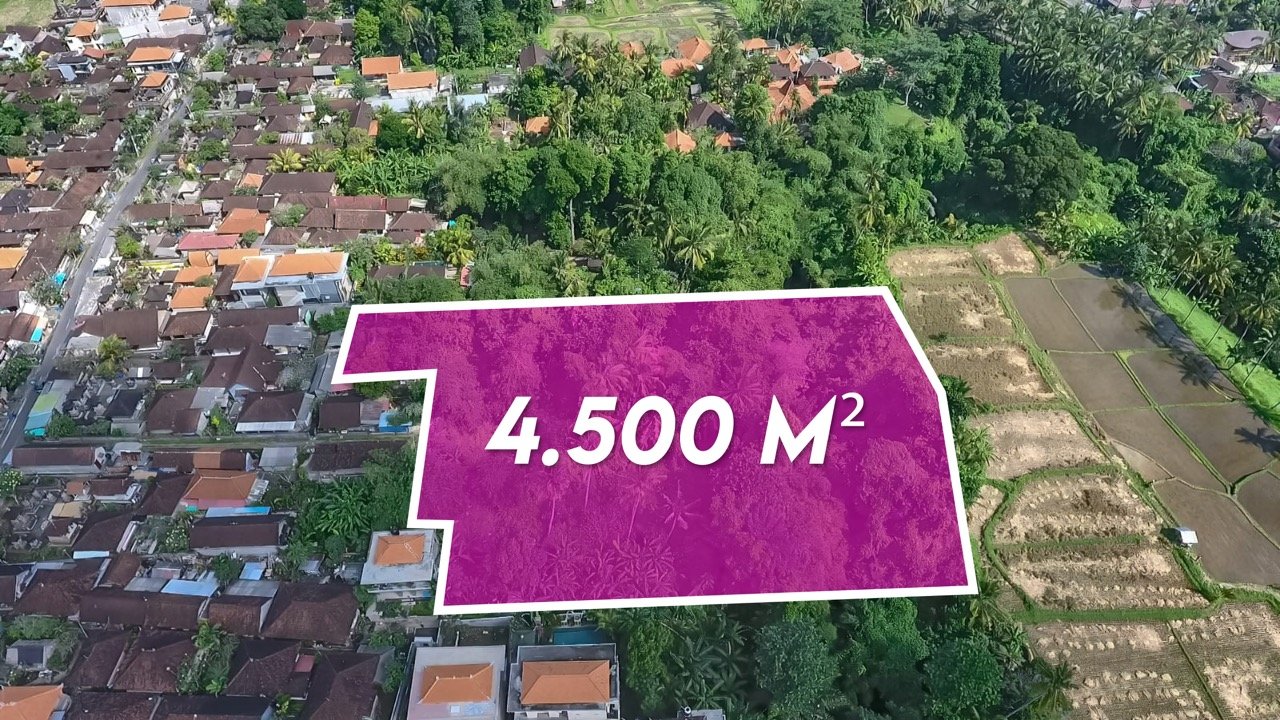 Земельный участок 4500м² в Убуд, Гианьяр, Бали, Индонезия № 61880