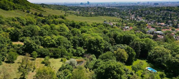 11 bedrooms Villa in Dobling, Austria No. 180572 13