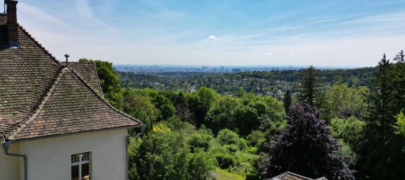 11 bedrooms Villa in Dobling, Austria No. 180572 9