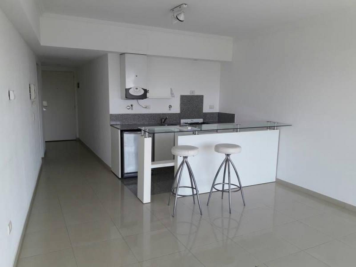 Studio in Tigre, Argentina No. 15752