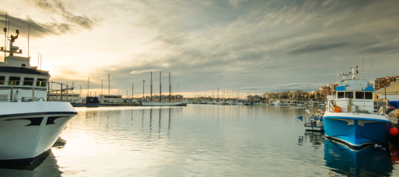 Вилла с 6 спальнями в Торревьеха, Испания № 51652 11