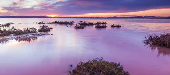 Вилла с 6 спальнями в Торревьеха, Испания № 51652 9