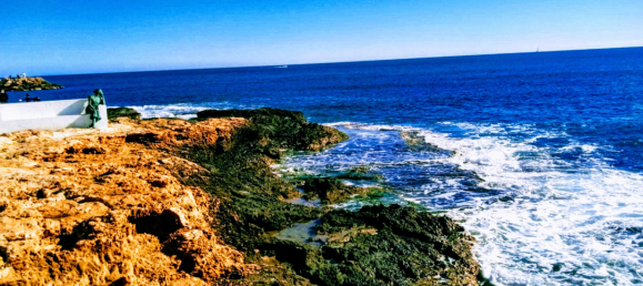 Вилла с 6 спальнями в Торревьеха, Испания № 51652 10