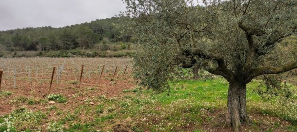 12 Schlafzimmer Haus in Torrelavit, Spain, Nr. 155489 30