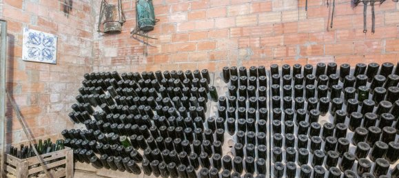 12 Schlafzimmer Haus in Torrelavit, Spain, Nr. 155489 15