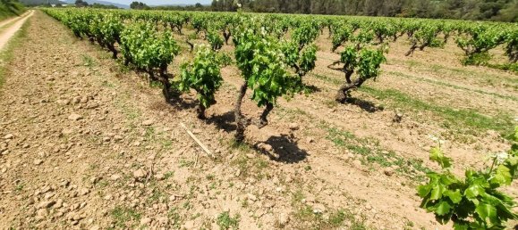 12 Schlafzimmer Haus in Torrelavit, Spain, Nr. 155489 29