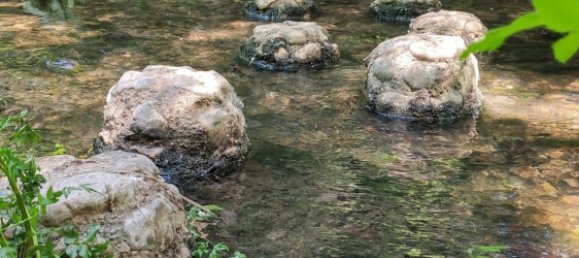 12 Schlafzimmer Haus in Torrelavit, Spain, Nr. 155489 34