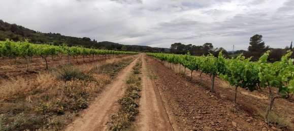 12 Schlafzimmer Haus in Torrelavit, Spain, Nr. 155489 31