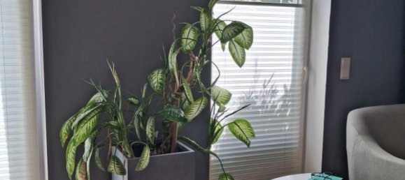 4-Zimmer Stadthaus in St. Andrä-Wördern, Austria, Nr. 194959 23