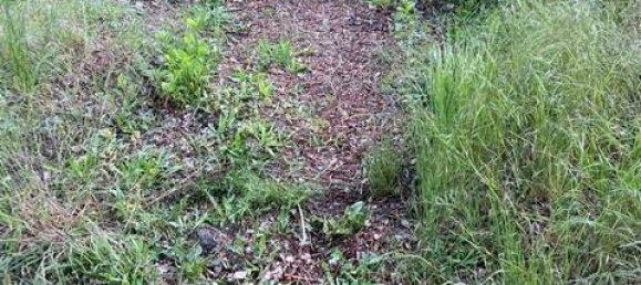 Terreno em Teltow-Flaming, Germany N.º 248963 4