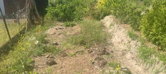 Terreno em Teltow-Flaming, Germany N.º 248963 5