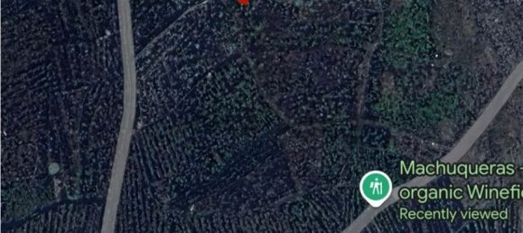 1332m² Land in La Palma, Spain No. 142439 3