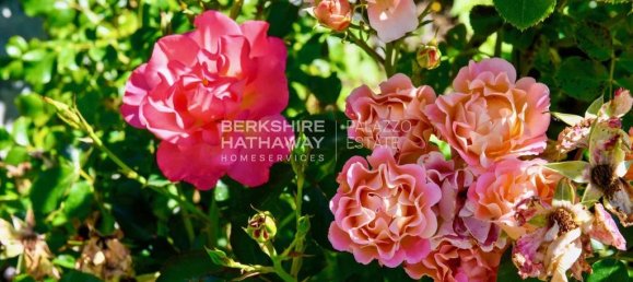 12 غرف نوم فيلا في Brunate, Italy رقم 131646 21