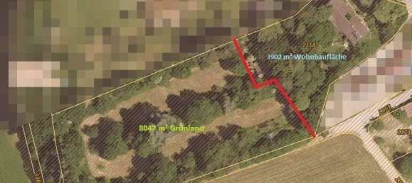 Дом с 18 комнатами в Альб-Дунай, Германия № 28003 13