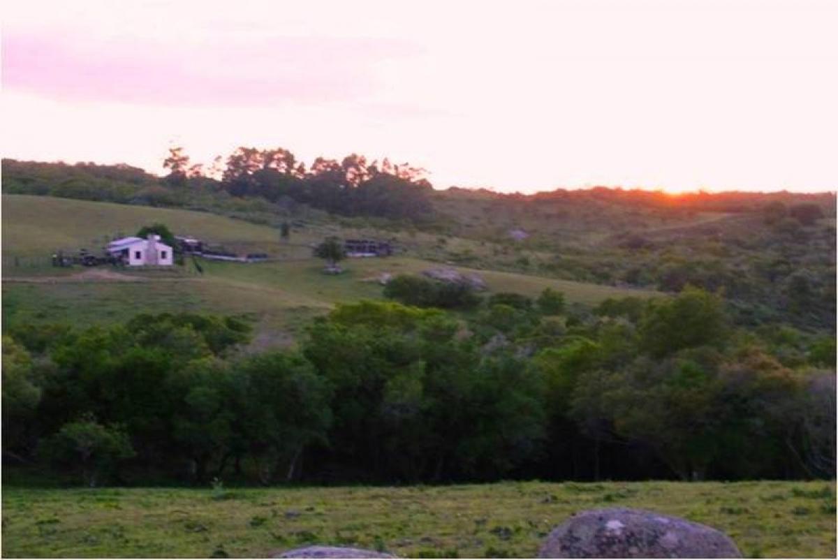 10m² Farm in Maldonado, Uruguay No. 15772