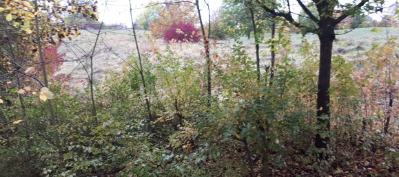 1 Schlafzimmer Wohnung in Böblingen, Germany, Nr. 218447 10