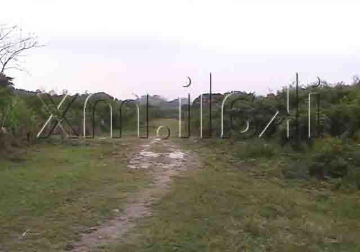  Land in Veracruz, Mexico No. 204069