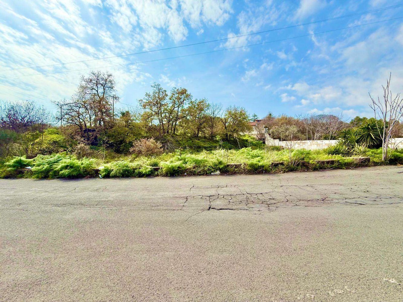 1990m² Land in Pedara, Italy No. 120529