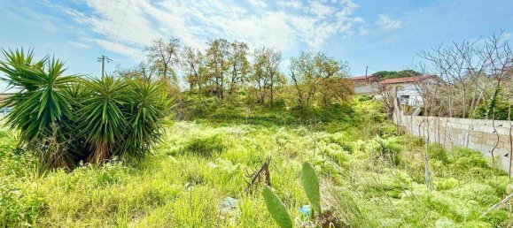 1990m² Land in Pedara, Italy No. 120529 10