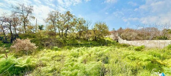 1990m² Land in Pedara, Italy No. 120529 7