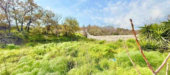 1990m² Land in Pedara, Italy No. 120529 6