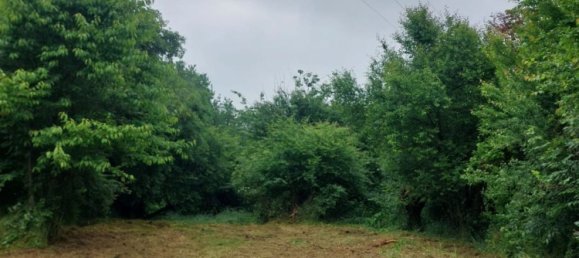  Land in Pasturana, Italy No. 314586 6