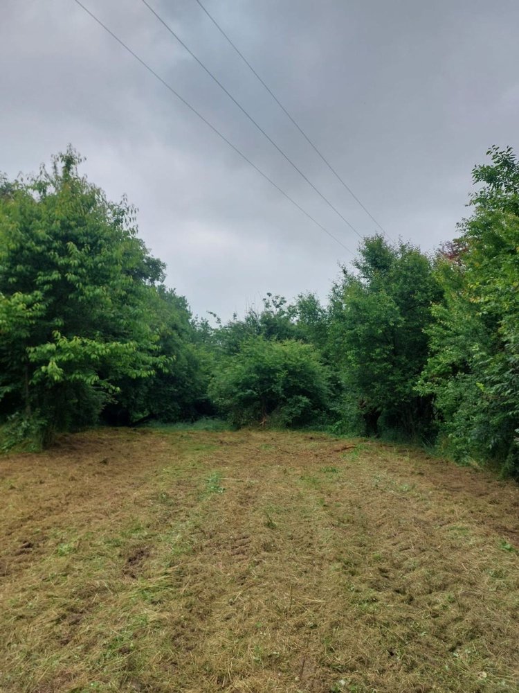  Land in Pasturana, Italy No. 314586