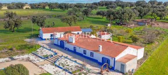 7 غرف نوم منزل في Sousel, Portugal رقم 148402 10