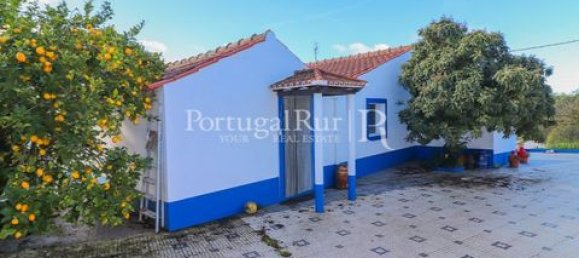 7 غرف نوم منزل في Sousel, Portugal رقم 148402 14