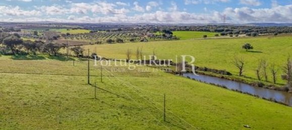 7 غرف نوم منزل في Sousel, Portugal رقم 148402 7