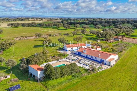 7 غرف نوم منزل في Sousel, Portugal رقم 148402