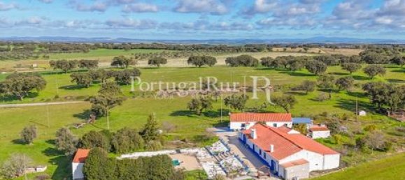 7 غرف نوم منزل في Sousel, Portugal رقم 148402 9