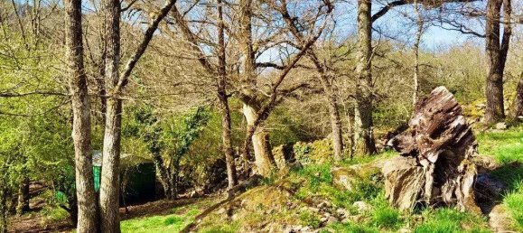 3 chambres Maison à Cantal, France No. 302738 12