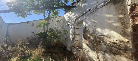 5 bedrooms House in Reguengos de Monsaraz, Portugal No. 32382 8