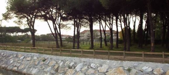 Imóvel comercial de 2 divisões em Vecchiano, Italy N.º 35761 5